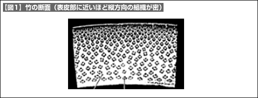 【図1】竹の断面（表皮部に近いほど縦方向の組織が密）