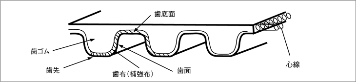 ベルト部位の名称