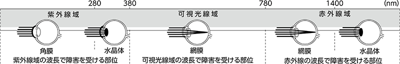 有害光線による眼の障害について