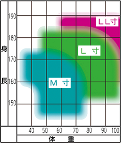 サイズの目安