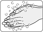 ②石けん液を手に取り、手のひらと手のひらでこすり、よく泡立てます。